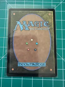 MTG / Forbidden Orchard / 2X2 / #323 / Regular / Rare / NM - Image 2