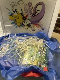 Large Pokemon Old Era /new Era Mystery Box - Image 2