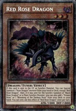 Red Rose Dragon 1st Starlight Rare MP25-EN037 Yu-Gi-Oh! - Image 1