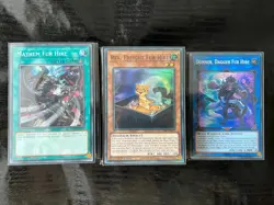 Yu-Gi-Oh! Complete Fur Hire Deck + Extra Deck *Tournament Ready* Beat, + Bonus! - Image 1