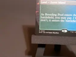 Breeding Pool (Borderless) Ravnica Remastered Regular 293 - Image 4