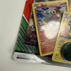 SEALED POKEMON ENHANCED BLISTER BOOSTER PACK OF 2 (ENTEI/ RAIKOU/ SUICUNE) 820650803000 - Image 2