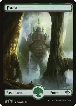 Forest (286) The Brothers' War BRO MTG Magic - Image 1