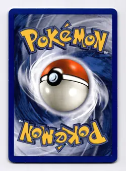 Raticate Skyridge #089 (2003) Common NM Pokemon - Image 2