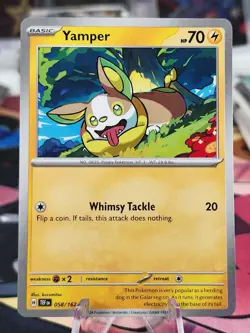 Yamper 058/162 Temporal Forces Common NM TEF EN Pokemon Card Scarlet & Violet - Image 1