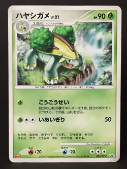 Grotle 034/DP-P Meiji Promo 2007 Japanese Pokemon Card DMG - Image 1