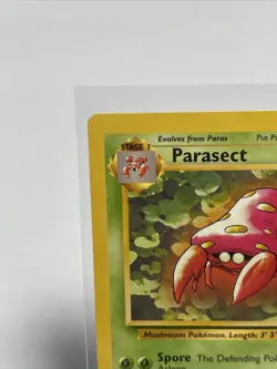 PARASECT - Jungle Set - 41/64 - Uncommon - Pokemon Card - Unlimited - NM - Image 3