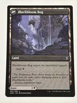 MTG Zendikar Rising Blackbloom Rogue 091/280 NM - Image 2