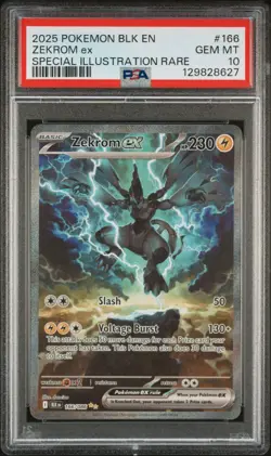 2025 Pokemon Black Bolt Zekrom EX Special Illustration Rare PSA 10 - Image 1