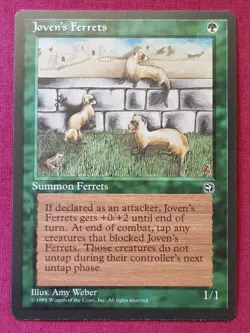 Magic The Gathering HOMELANDS JOVEN'S FERRETS green card MTG - Image 1