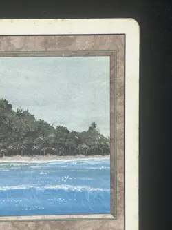 MTG x1 Tropical Island Dual Land Revised Rare (MP) - Image 4