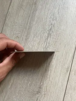 Mtg Exodus / Exode-Hatred / Haine-French Version Francaise Magic - Image 4