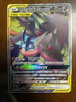 Pokemon Chinese Sun&Moon Double Crit AS5A Greninja & Zoroark-GX SR #199 Alt Art - Image 1