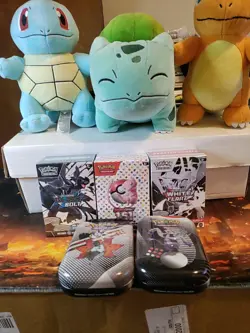 Pokemon 151 Booster Bundle + Black Bolt & White Flare Bundles + 2 Mini Tins - Image 1