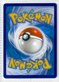 Blaziken V 020/198 Rapid Strike Pokemon TCG Chilling Reign Ultra Rare Card - Image 2