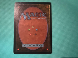 Forest - Beta - MTG - Magic the Gathering - Image 4