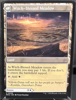MTG Modern Horizons 3 Witch Enchanter/Witch-Blessed Meadow (Uncommon) - Image 2