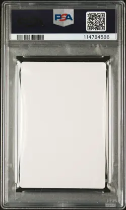 Pokemon | Squirtle Carddass Quest Sticker 2018 | PSA 10 Mint - Image 2