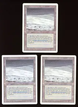 3x 1994 Revised/3rd Edition Tundra ~ Vintage MTG/Magic!!! - Image 1