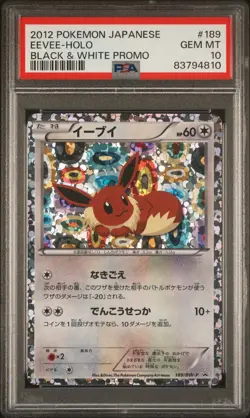 Pokemon Eevee Holo Japanese Eevee File Promo 189/BW-P PSA 10 Gem Mint - Image 1