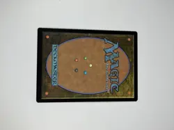 MTG Magic The Gathering - ASCETICISM - Lord of the Rings Commander Card - Image 4