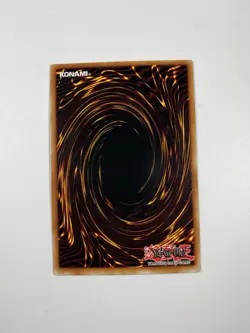 D.D. Survivor TLM-EN023 Yu-Gi-Oh! Card - Image 2