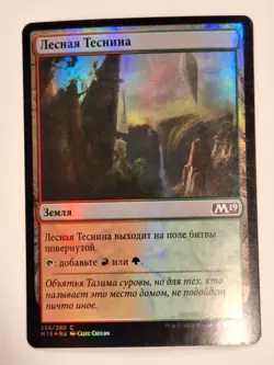 Timber Gorge - Russian FOIL Magic 2019 Core Set M19 - Magic the Gathering MTG - Image 1