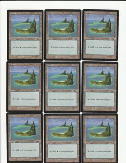 Lot of 50 Magic the Gathering Urza's Saga Islands Basic Lands - Image 3