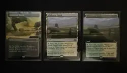 Windswept Heath Card Lot. Modern Horizons 3. Magic The Gathering. Fetch Land. - Image 1