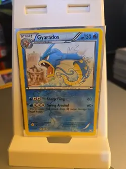 Gyarados 24/124 Pokemon B&W Dragons Exalted Trading Card Reverse Holo 2012 - Image 1