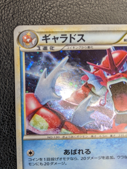 Pokemon Japanese Gyarados 004/L-P RANDOM BASIC PACK Holo Promo card 2009 - showc - Image 2