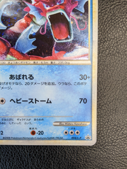Pokemon Japanese Gyarados 004/L-P RANDOM BASIC PACK Holo Promo card 2009 - showc - Image 4