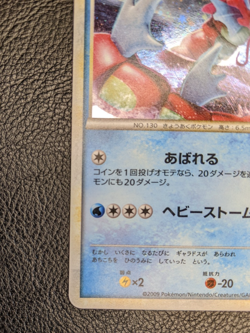 Pokemon Japanese Gyarados 004/L-P RANDOM BASIC PACK Holo Promo card 2009 - showc - Image 5