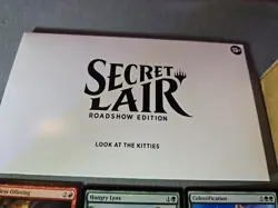Secret Lair Look At The Kitties & Raining Cats and Dogs Deck w Extra Cats MtG! - Image 4