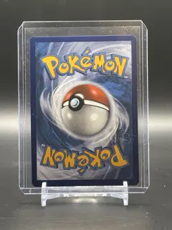 MACHAMP SWSH053 Black Star Promo Holo Card 2020 Near Mint - Mint - Image 2