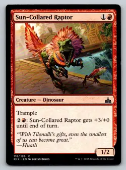 Sun-Collared Raptor Regular - Image 1