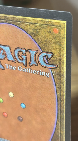 Magic The Gathering Force of Will - Alliances 1996 - LP/NM - MTG Uncommon - Image 4