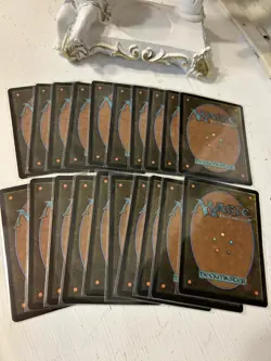 MTG 20× Dragon's Eye Wastes TDM Promo Basic land English Near Mint Magic - Image 2