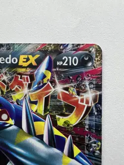 M Sharpedo EX Pokemon XY Black Star Promo #XY200 MP/HP ZP1 - Image 3