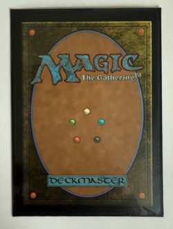 MTG: The Nipton Lottery (Extended Art) Universes Beyond: Fallout Foil NM - Image 2