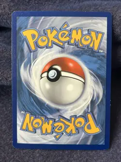Charmander SWSH092 Black Star Promo Holo Pokemon Card - Image 2