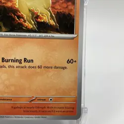 Rapidash Non-Holo Uncommon 020/142 Pokemon TCG Stellar Crown NM/M - Image 5