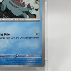 Totodile Non-Holo Common 039/162 Pokemon TCG Temporal Forces NM/M - Image 5