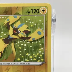 Zeraora Reverse Holo Rare 052/159 Pokemon TCG Crown Zenith NM/M - Image 3