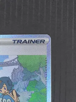 Lana’s Aid 219/167 Twilight Masquerade SIR Full Art Trainer NM Pokemon TCG - Image 3