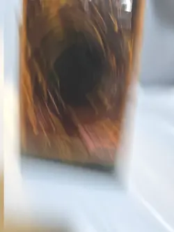 YU-GI-OH DINOSAURS RAGE STRUCTURE DECK 1ST EDITION Factory Sealed - Image 2