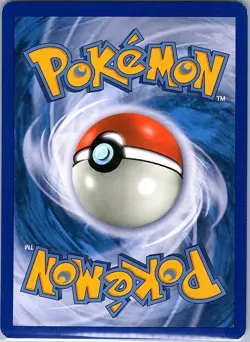 Buizel DP13 Holo Diamond and Pearl Promos - Pokemon Card - NM - Image 2