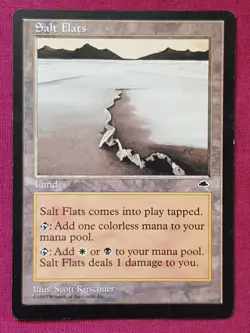 Magic The Gathering TEMPEST SALT FLATS single land card MTG - Image 1