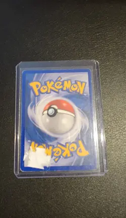 Wailord ex 100/100 Sandstorm Vintage Holo Pokemon Card 2003 MP Italian - Image 2