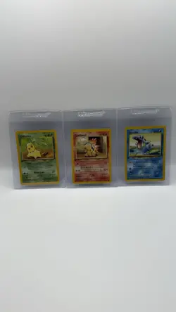 Pokemon 1st Edition Johto Starters Lot Neo Genesis Chikorita,Cyndaquil,Totodile - Image 1